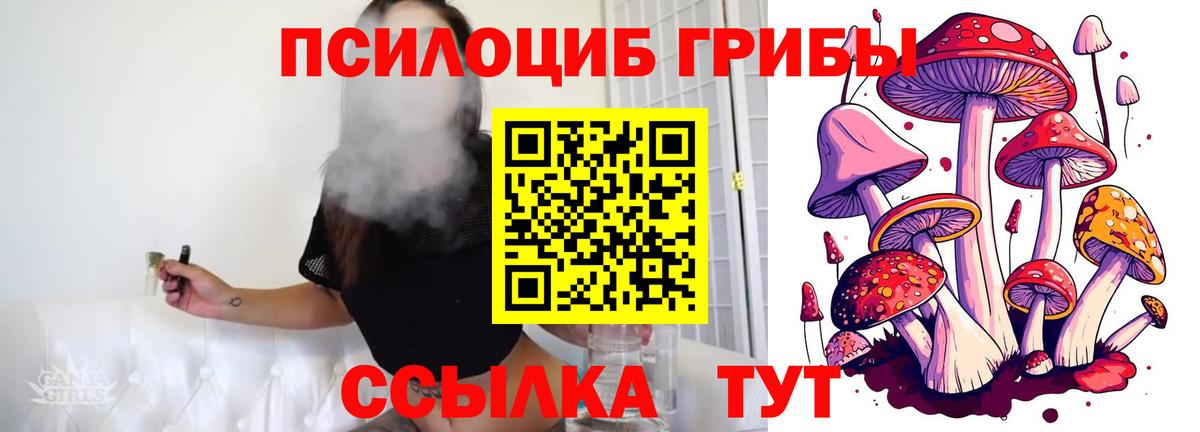 Псилоцибиновые грибы прущие грибы  Вход с VPN  Углич 
