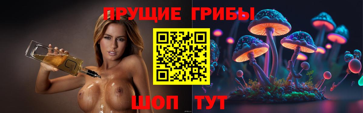 Галлюциногенные грибы Psilocybe Углич